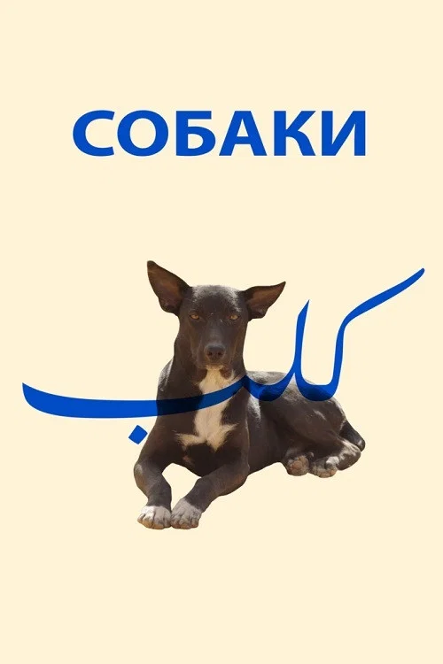 Собаки постер