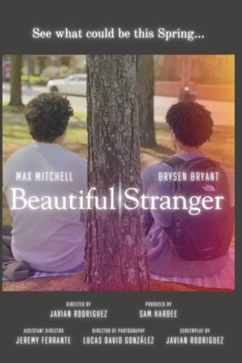 Beautiful Stranger постер