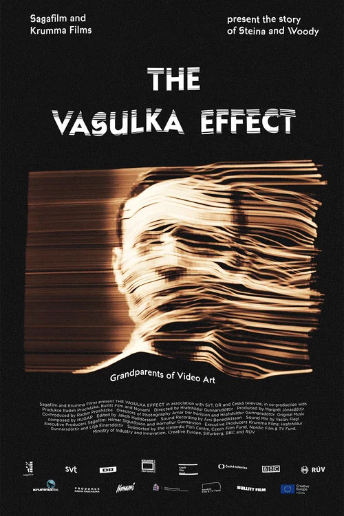 The Vasulka Effect постер