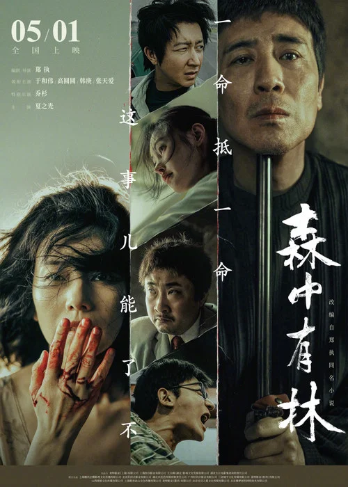 森中有林 постер