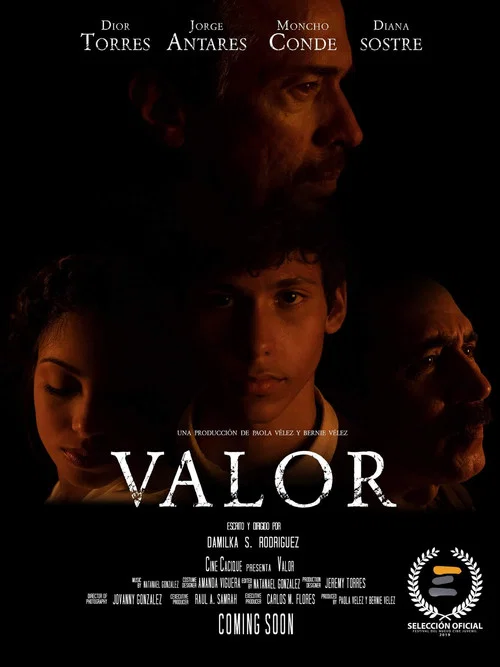 Valor постер
