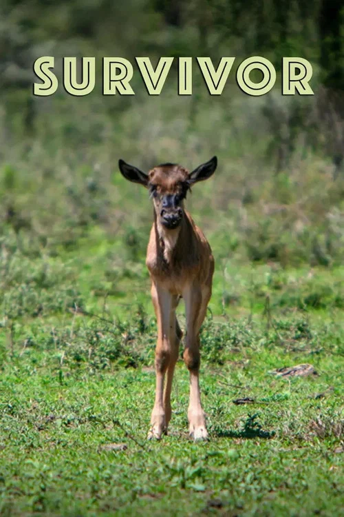 Survivor постер