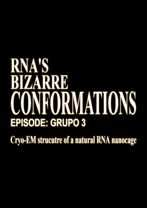 RNA'S Bizarre Conformations постер