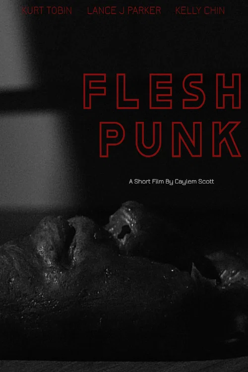 Fleshpunk постер