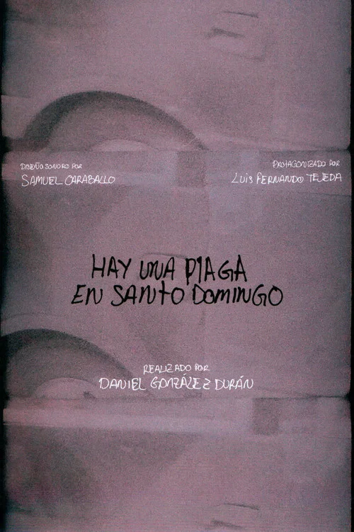 Hay una plaga en Santo Domingo постер