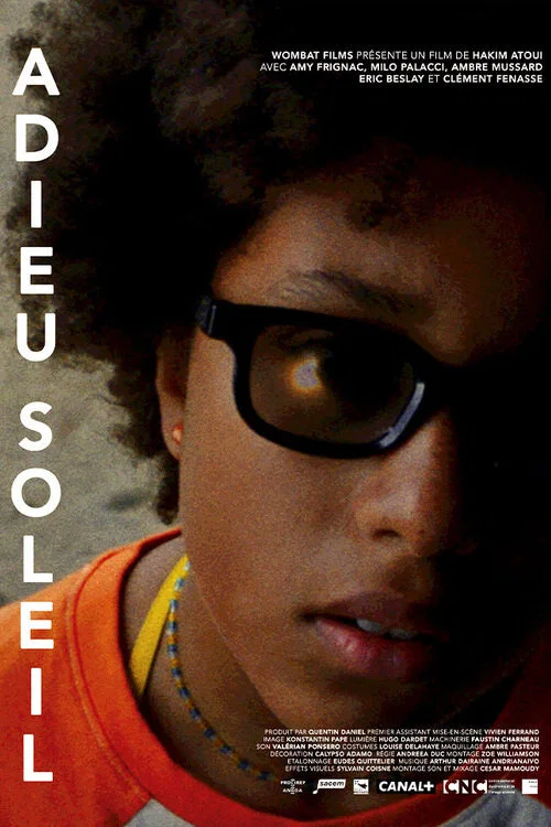 Adieu soleil постер