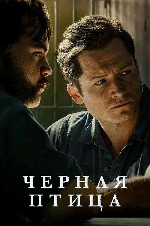 Черная птица постер