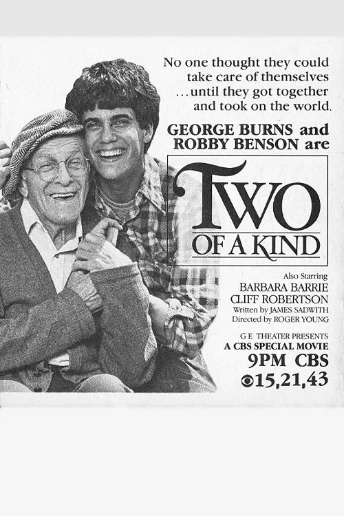 Two of a Kind постер