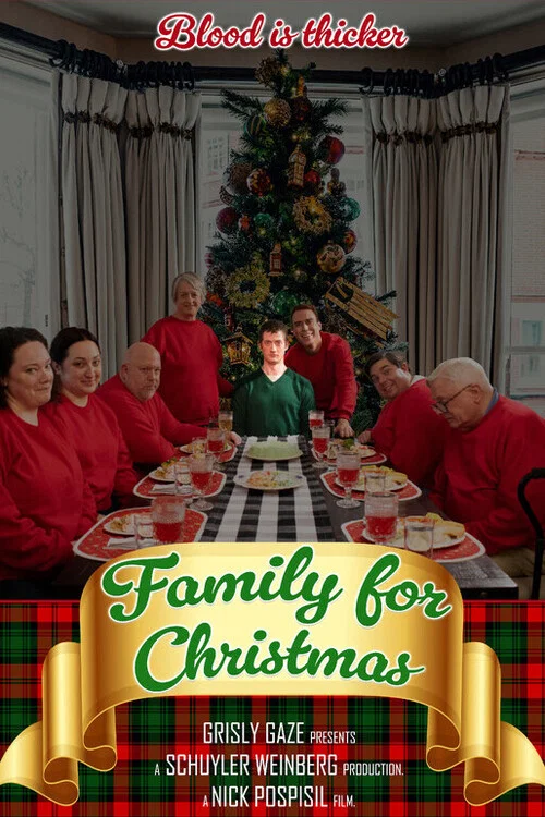 Family for Christmas постер
