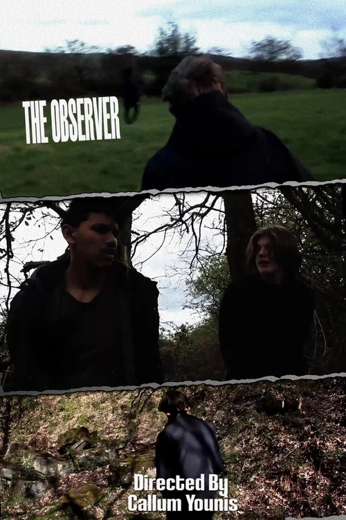 The Observer постер
