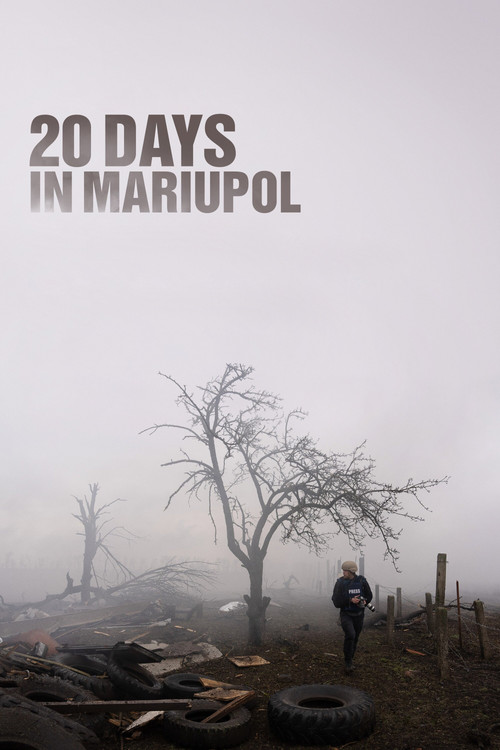 20 дней в Мариуполе постер