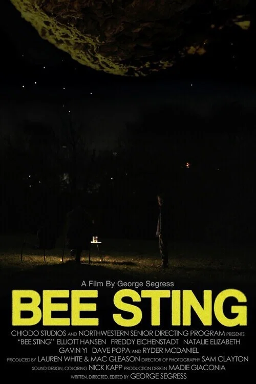 Bee Sting постер