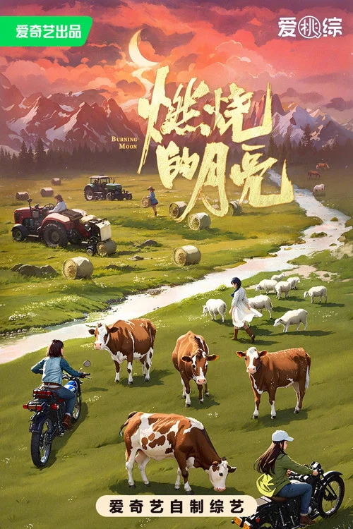 燃烧的月亮 постер