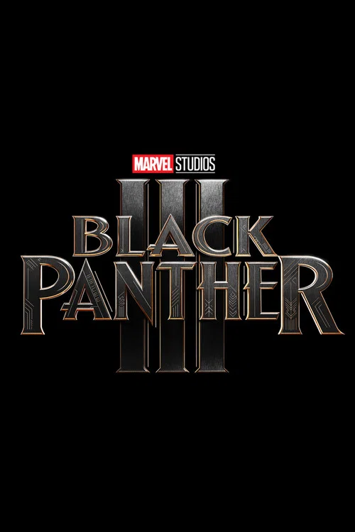Black Panther 3 постер