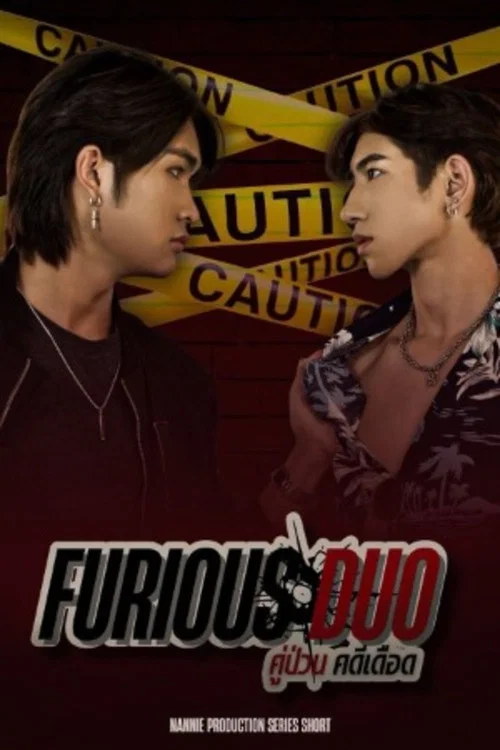 คู่ป่วน คดีเดือด постер