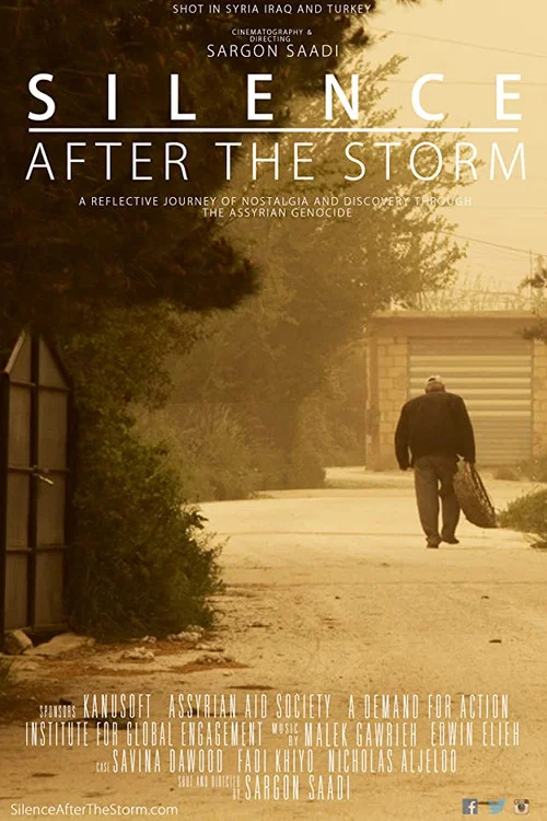 Silence After the Storm постер