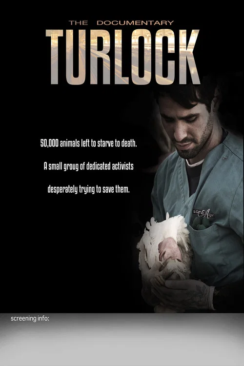 Turlock постер