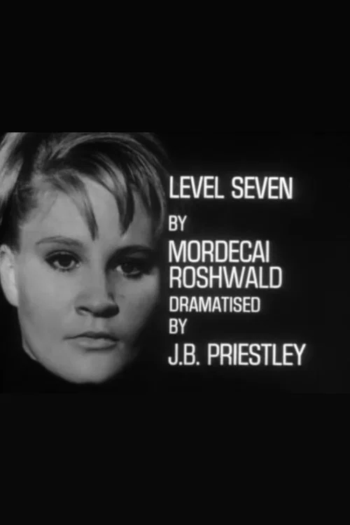 Level Seven постер