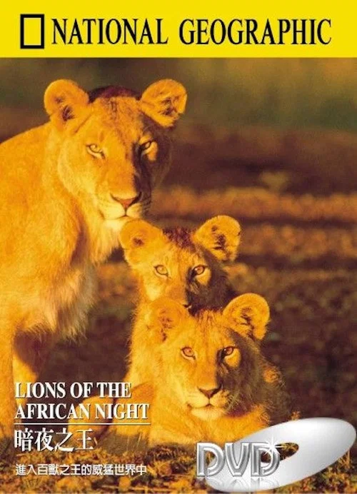 Lions of the African Night постер