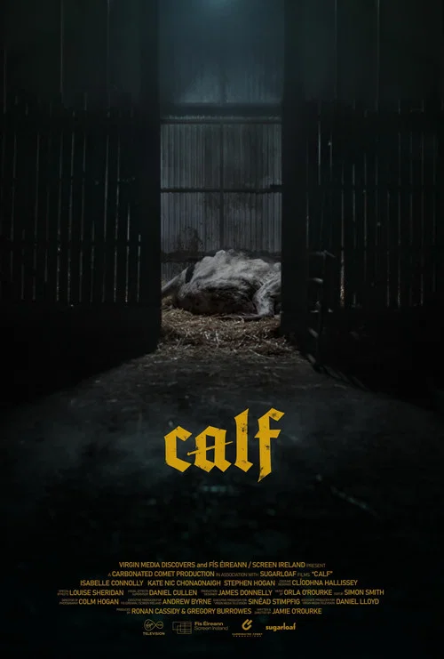 Calf постер