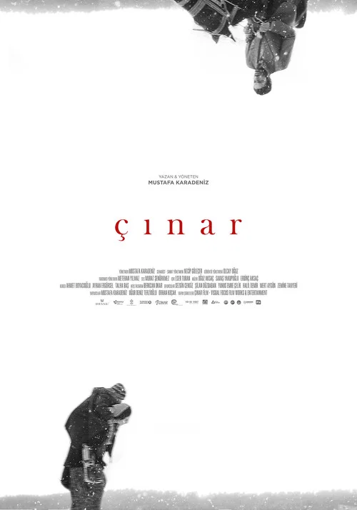 Çınar постер