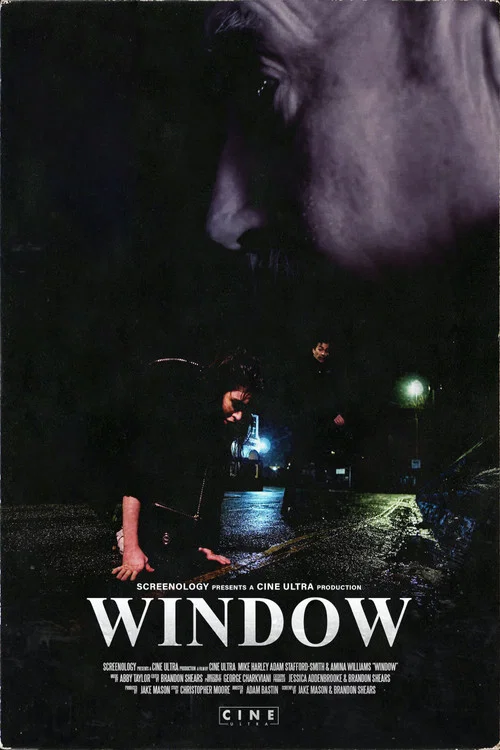 Window постер