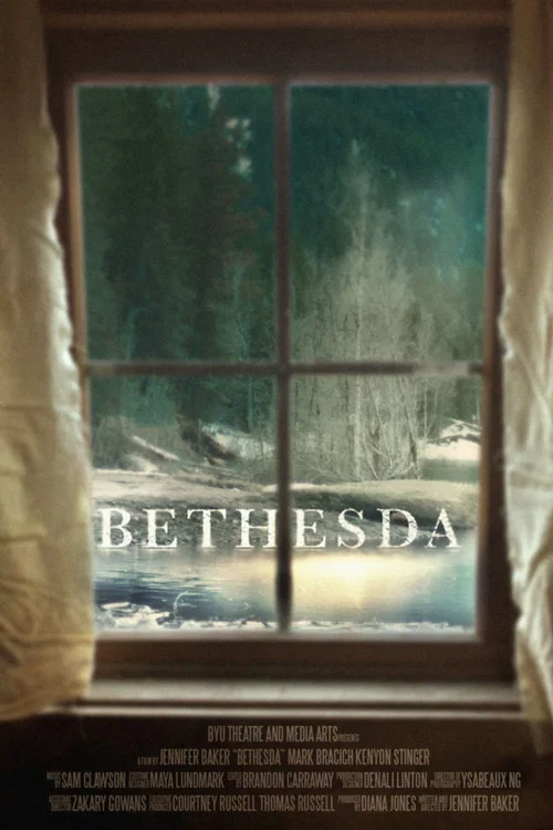 Bethesda постер
