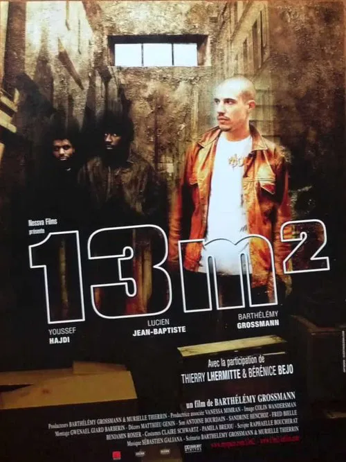 13 m² постер