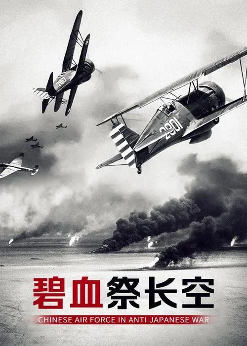 碧血祭长空 постер