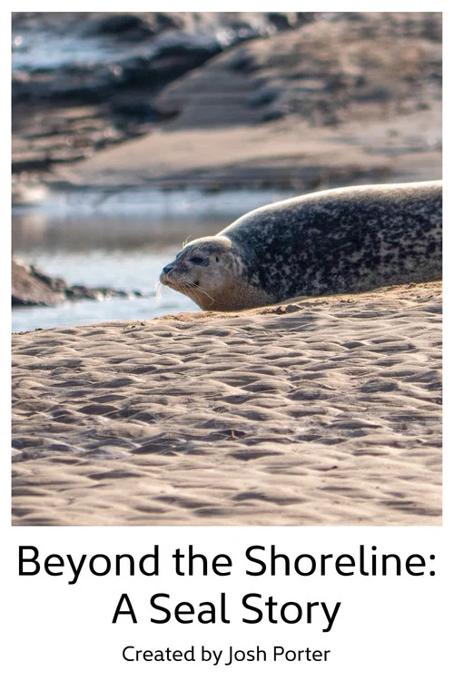 Beyond the Shoreline: A Seal Story постер