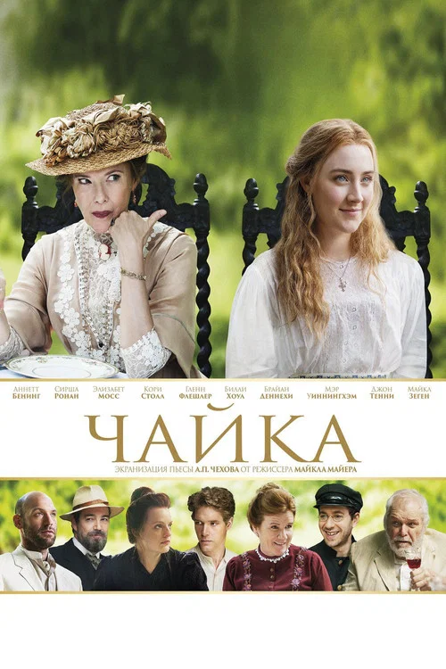Чайка постер