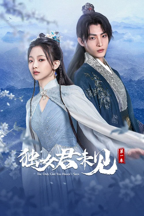 独女君未见 постер