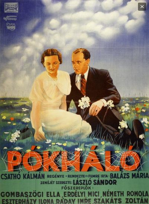 Pókháló постер