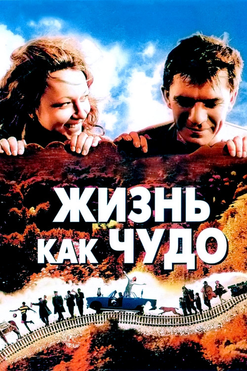 Жизнь как чудо постер