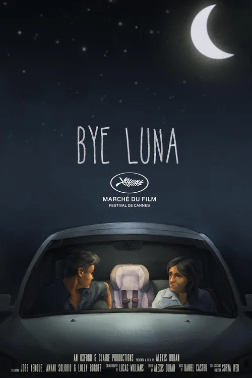 Bye Luna постер