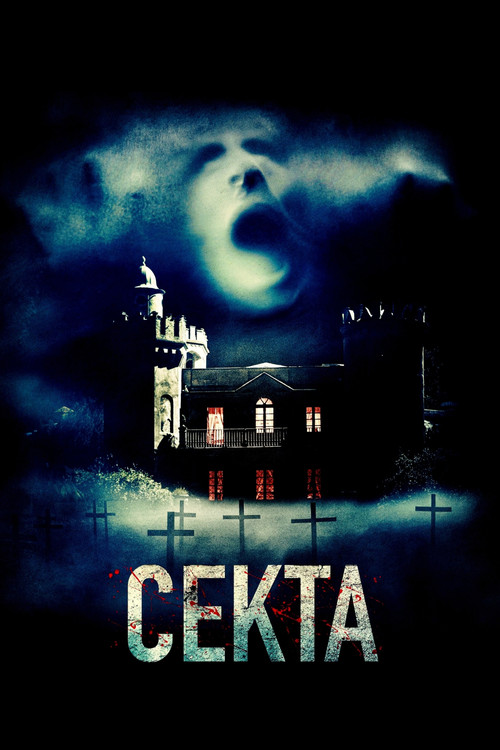 Секта постер
