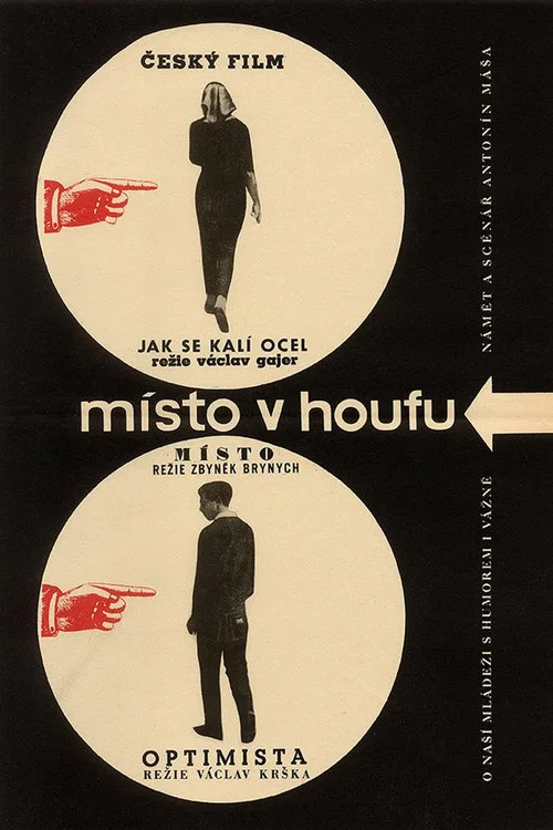 Místo v houfu постер