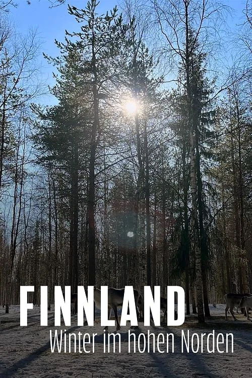 Finnland - Winter im hohen Norden постер
