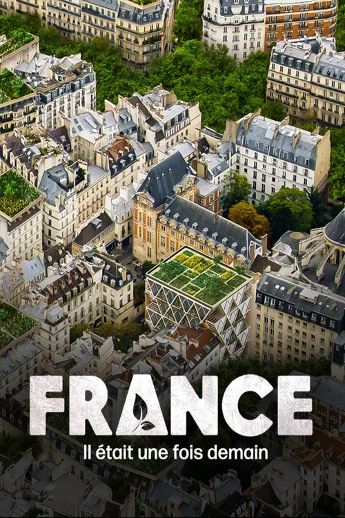 France, il était une fois demain постер