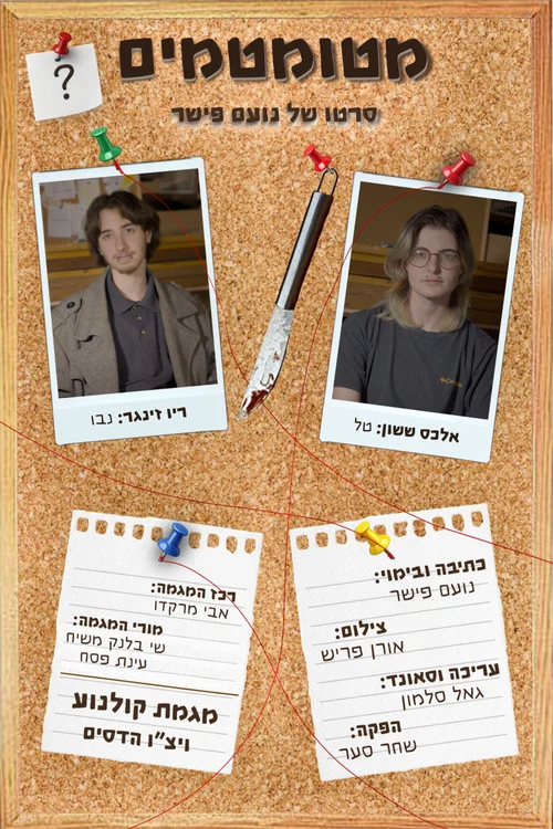 מטומטמים постер