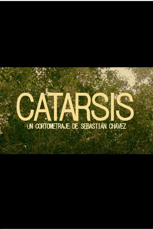 Catarsis постер