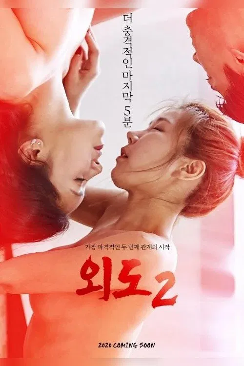 외도2 постер