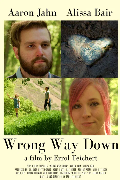 Wrong Way Down постер