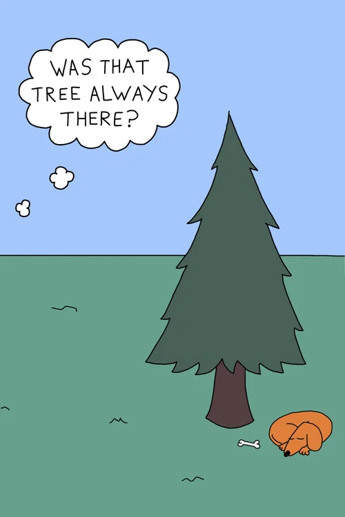 Was That Tree Always There? постер