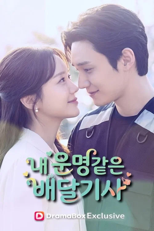 내 운명같은 배달기사 постер