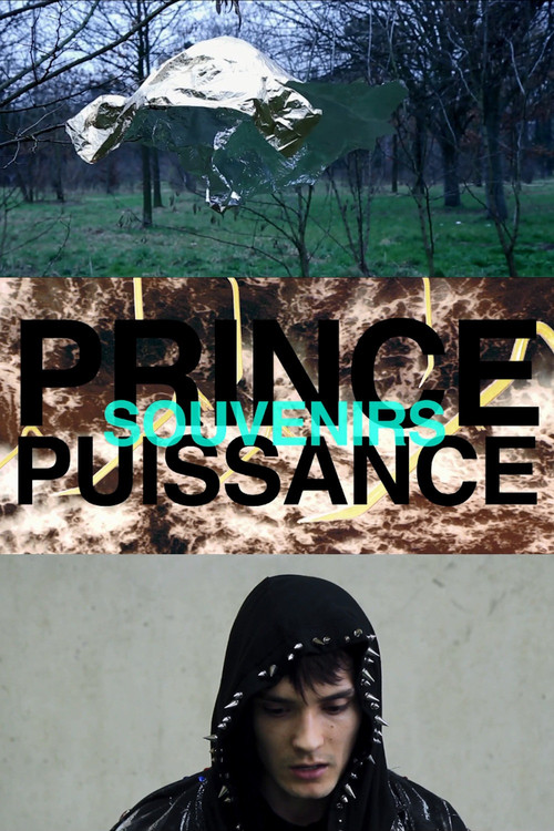 Prince, puissance, souvenirs постер