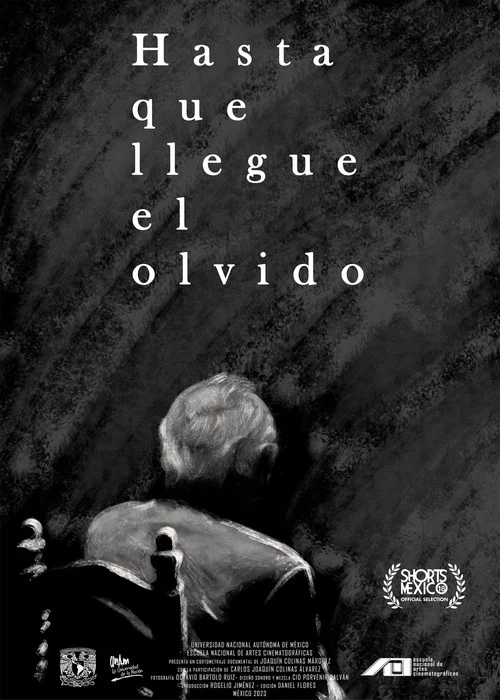 Hasta que llegue el olvido постер