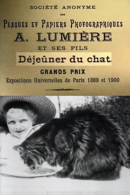 Déjeuner du Chat постер