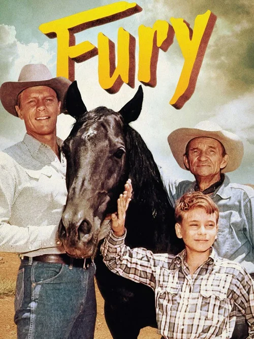 Fury постер