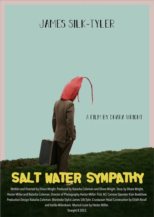 Salt Water Sympathy постер